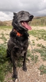 FILOMENA (AROIA) Imagen 1
